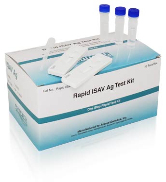 Rapid ISAV Kit